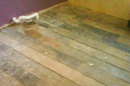 Wooden Floor Sanding Sealing image1